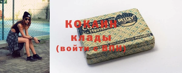 дживик Козельск