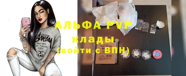 дживик Козельск