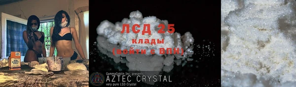 дживик Козельск
