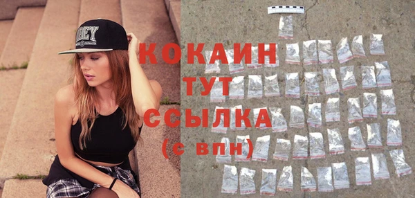 дживик Козельск