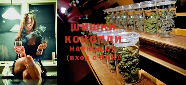 дживик Козельск