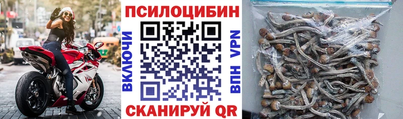 Купить закладки  Сосногорск  Галлюциногенные грибы прущие грибы 